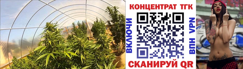 Дистиллят ТГК Wax  kraken зеркало  Советский 