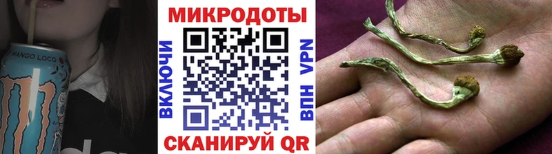 Галлюциногенные грибы прущие грибы  сколько стоит  Советский 